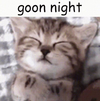 A Picture Of A Cat Sleeping With The Words Goon Night Above It GIF