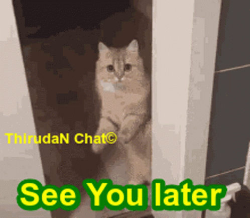 A Picture Of A Cat Standing In A Doorway With The Words See You Later Below It GIF