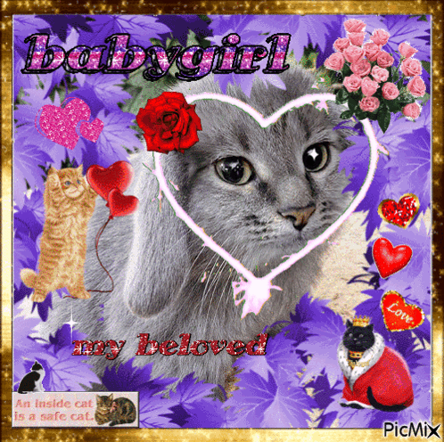 A Picture Of A Cat Surrounded By Hearts And Roses With The Caption Babygirl My Beloved GIF
