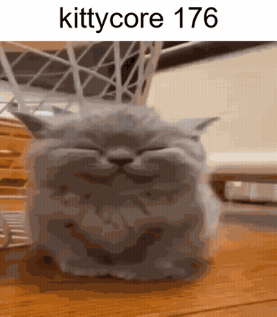 A Picture Of A Cat That Says Kittycore 176 On The Bottom GIF