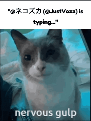A Picture Of A Cat That Says Nervous Gulp On It GIF