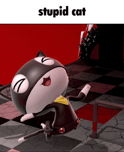 A Picture Of A Cat That Says Stupid Cat On The Bottom GIF