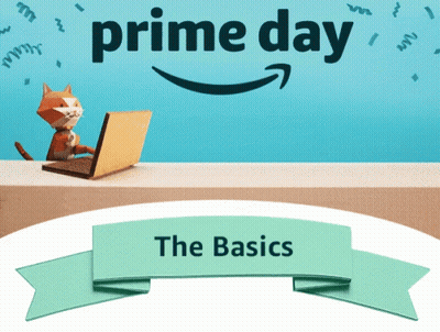 A Picture Of A Cat Using A Laptop And The Words Prime Day The Basics Below It GIF