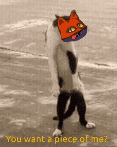 A Picture Of A Cat Walking On The Beach With The Words " You Want A Piece Of Me " Below It GIF