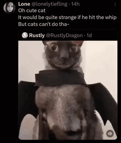 A Picture Of A Cat Wearing A Bat Costume On A Twitter Post GIF