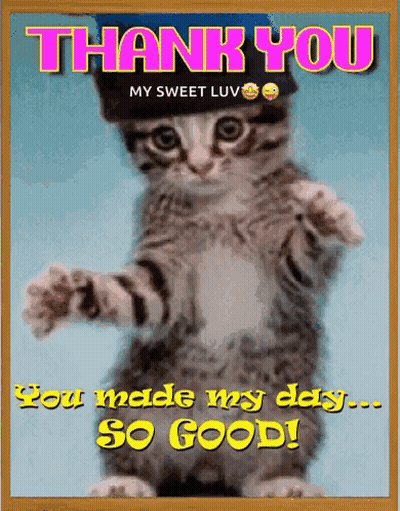 A Picture Of A Cat Wearing A Hat That Says Thank You GIF