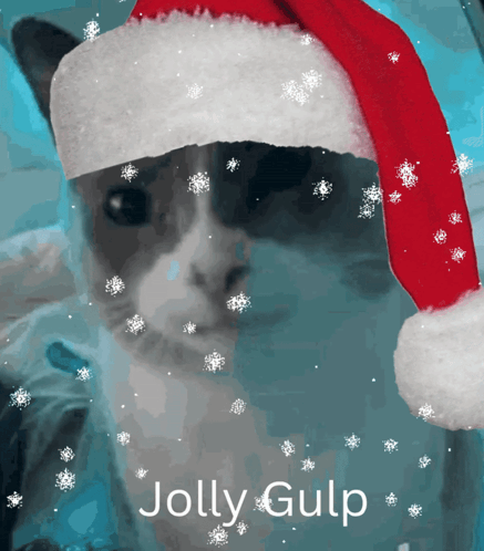 A Picture Of A Cat Wearing A Santa Hat With The Words Jolly Gulp Below It GIF