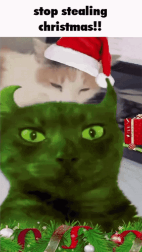 A Picture Of A Cat Wearing A Santa Hat With The Words Stop Stealing Christmas Below It GIF