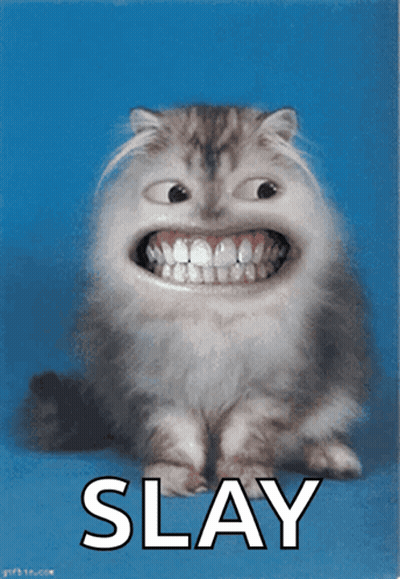 A Picture Of A Cat With A Big Smile And The Word Slay Underneath It GIF