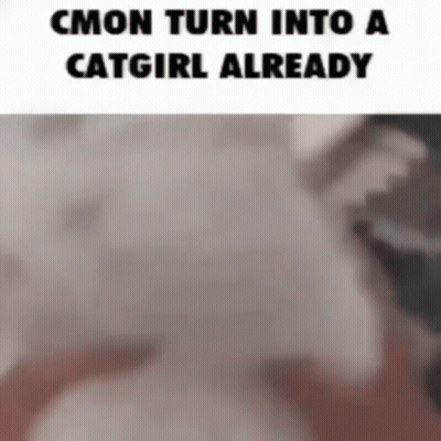 A Picture Of A Cat With A Caption That Says " Cmon Turn Into A Catgirl Already " GIF