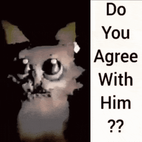 A Picture Of A Cat With A Caption That Says Do You Agree With Him ? GIF