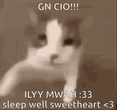 A Picture Of A Cat With A Caption That Says Gn Cio Ilyy Mwah 33 Sleep Well Sweetheart < 3 GIF