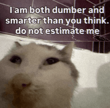 A Picture Of A Cat With A Caption That Says " I Am Both Dumber And Smarter Than You Think " GIF