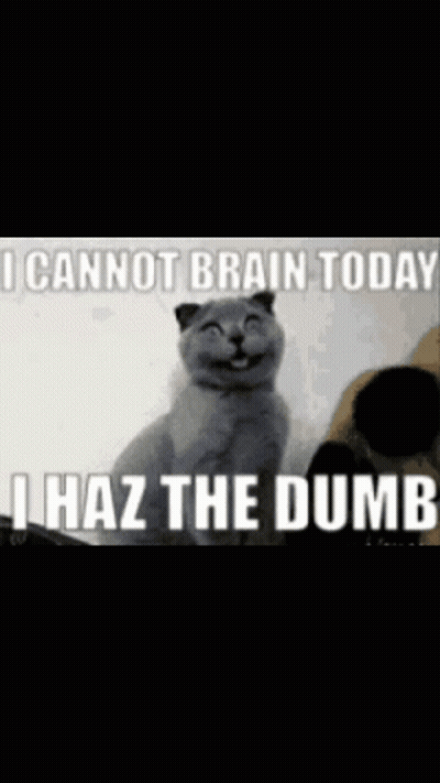 A Picture Of A Cat With A Caption That Says I Cannot Brain Today I Haz The Dumb GIF