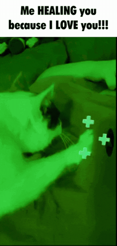 A Picture Of A Cat With A Caption That Says Me Healing You Because I Love You GIF