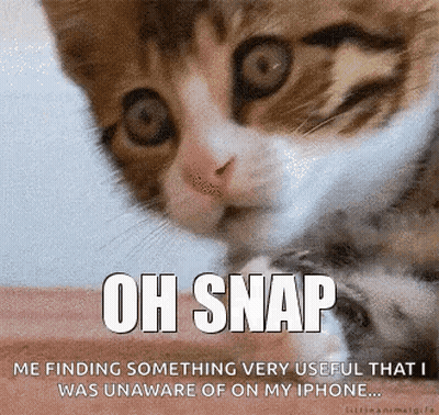 A Picture Of A Cat With A Caption That Says Oh Snap Me Finding Something Very Useful That I Was Unaware Of On My Iphone GIF