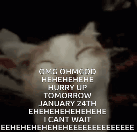 A Picture Of A Cat With A Caption That Says Omg Ohmgod Hahahaha Hurry Up Tomorrow January 24Th GIF