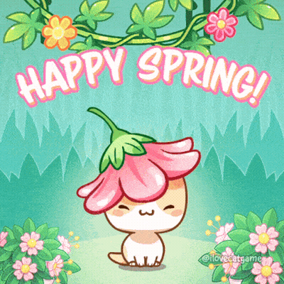 A Picture Of A Cat With A Flower On Its Head And The Words Happy Spring GIF