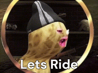 A Picture Of A Cat With A Hat And The Words Lets Ride GIF