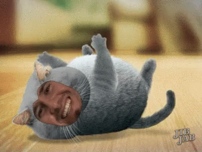 A Picture Of A Cat With A Man 'S Face On It And The Words Jub Jab On The Bottom GIF