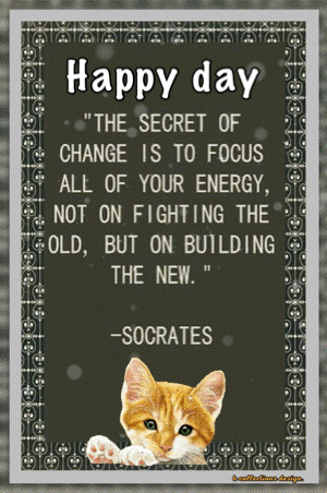A Picture Of A Cat With A Quote By Socrates On It GIF