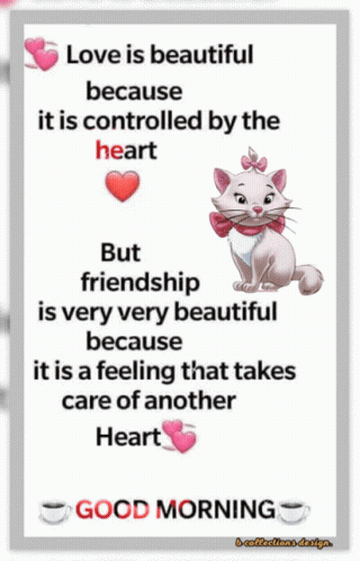 A Picture Of A Cat With A Quote On It GIF