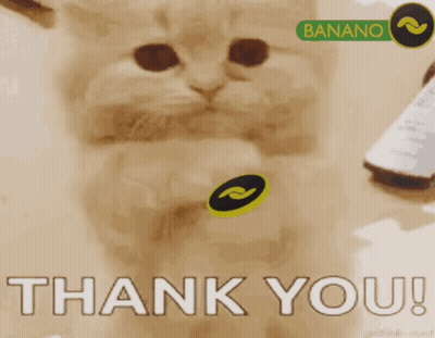 A Picture Of A Cat With A Thank You Message GIF