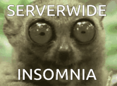 A Picture Of A Cat With Big Eyes And The Words Serverwide Insomnia GIF