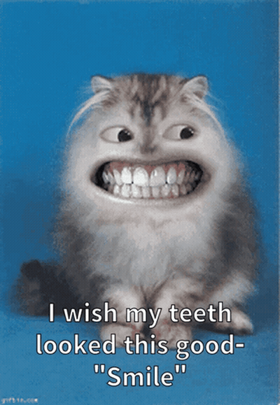 A Picture Of A Cat With Big Teeth And The Words " I Wish My Teeth Looked This Good Smile " GIF