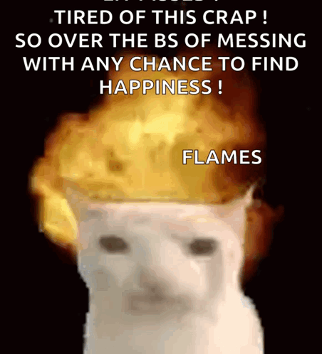 A Picture Of A Cat With Flames On Its Head GIF