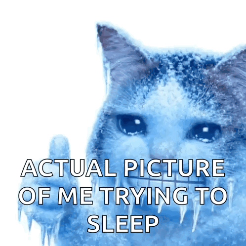 A Picture Of A Cat With Ice On Its Face And The Words Actual Picture Of Me Trying To Sleep GIF