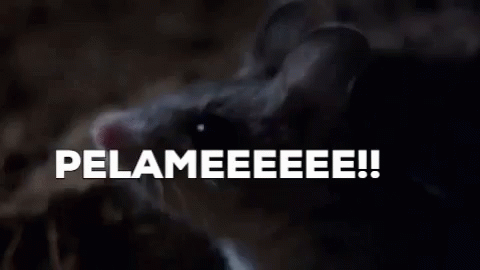 A Picture Of A Cat With Its Mouth Open And The Words Pelameeee On It GIF