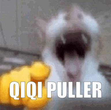 A Picture Of A Cat With Its Mouth Open And The Words Qiqi Puller Written On It GIF