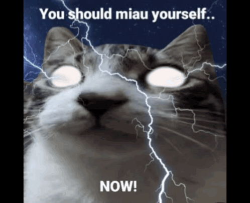 A Picture Of A Cat With Lightning Coming From Its Eyes And The Words " You Should Miau Yourself Now " GIF