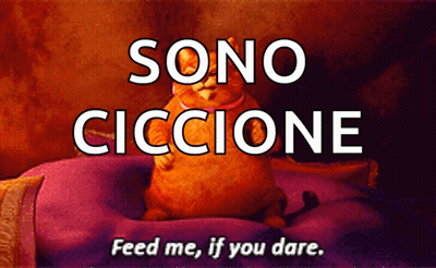 A Picture Of A Cat With Sono Ciccione Feed Me If You Dare Written On It GIF