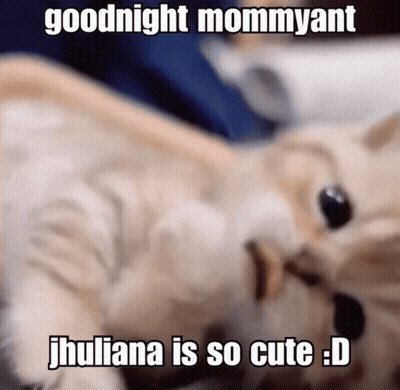 A Picture Of A Cat With The Caption " Goodnight Mommyant Jhuliana Is So Cute : D " GIF