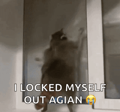A Picture Of A Cat With The Caption " I Locked Myself Out Agian " GIF