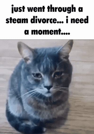 A Picture Of A Cat With The Caption Just Went Through A Steam Divorce ... I Need A Moment GIF