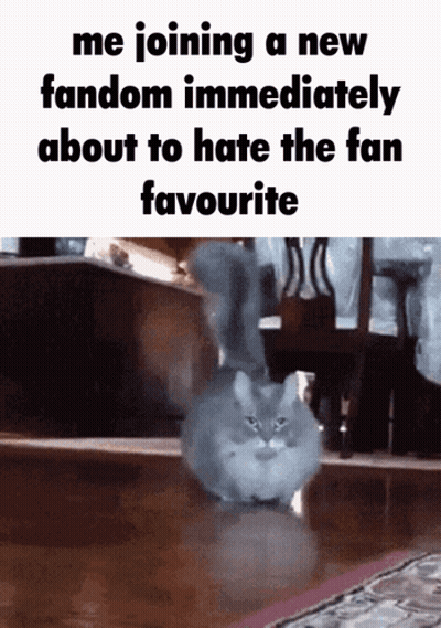 A Picture Of A Cat With The Caption " Me Joining A New Fandom Immediately About To Hate The Fan Favourite " . GIF