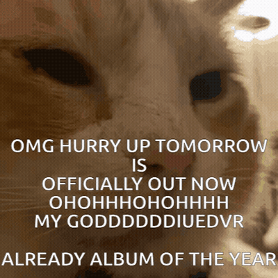 A Picture Of A Cat With The Caption Omg Hurry Up Tomorrow GIF