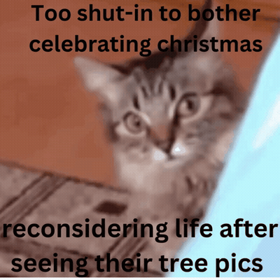 A Picture Of A Cat With The Caption " Too Shut-In To Bother Celebrating Christmas " GIF