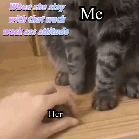 A Picture Of A Cat With The Caption " When She Stay With That Wack Ass Attitude Me Her " GIF
