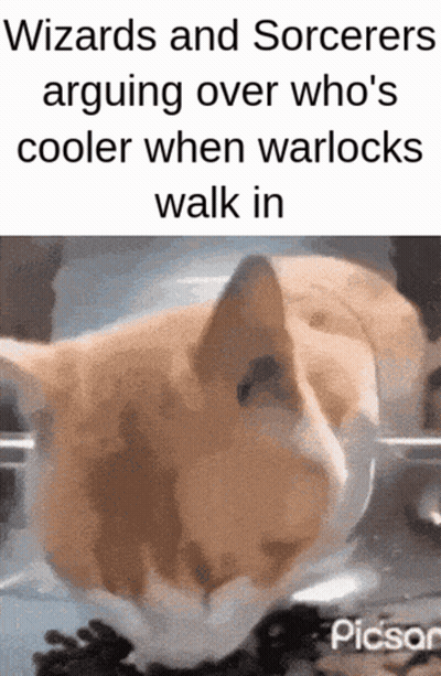A Picture Of A Cat With The Caption Wizards And Sorcerers Arguing Over Who 'S Cooler When Warlocks Walk In . GIF
