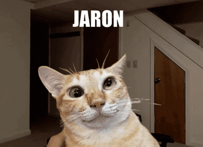 A Picture Of A Cat With The Name Jaron Written Above It GIF