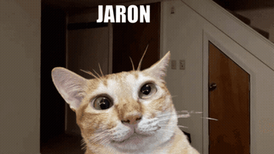 A Picture Of A Cat With The Name Jaron Written Above It GIF