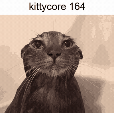 A Picture Of A Cat With The Text Kittycore 164 GIF