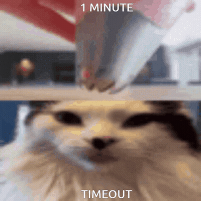 A Picture Of A Cat With The Words " 1 Minute Timeout " Written Below It GIF
