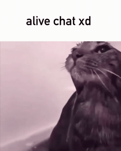 A Picture Of A Cat With The Words Alive Chat Xd On The Bottom GIF