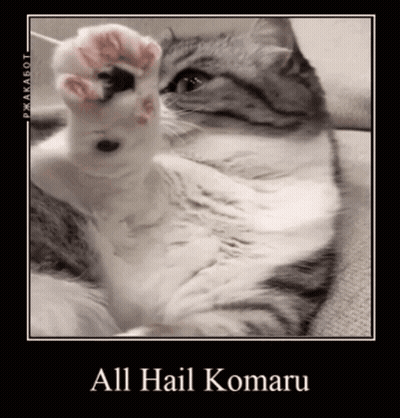 A Picture Of A Cat With The Words All Hail Komaru On It GIF