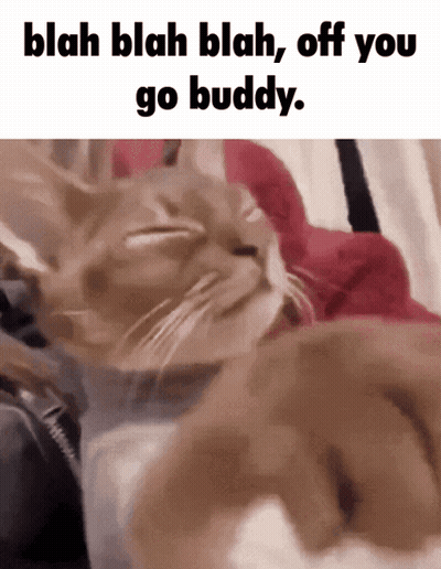 A Picture Of A Cat With The Words Blah Blah Blah Off You Go Buddy Below It GIF